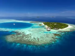 Baros Maldives Aerial Island Overview