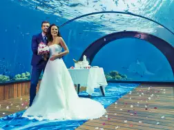 Hurawalhi Island Resort Underwater Wedding
