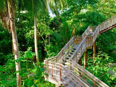 Treetop Pool Villa Escaleras Amilla Maldives Resort And Residences