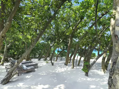 Beach Villa with Plunge Pool Beach Vakkaru Maldives